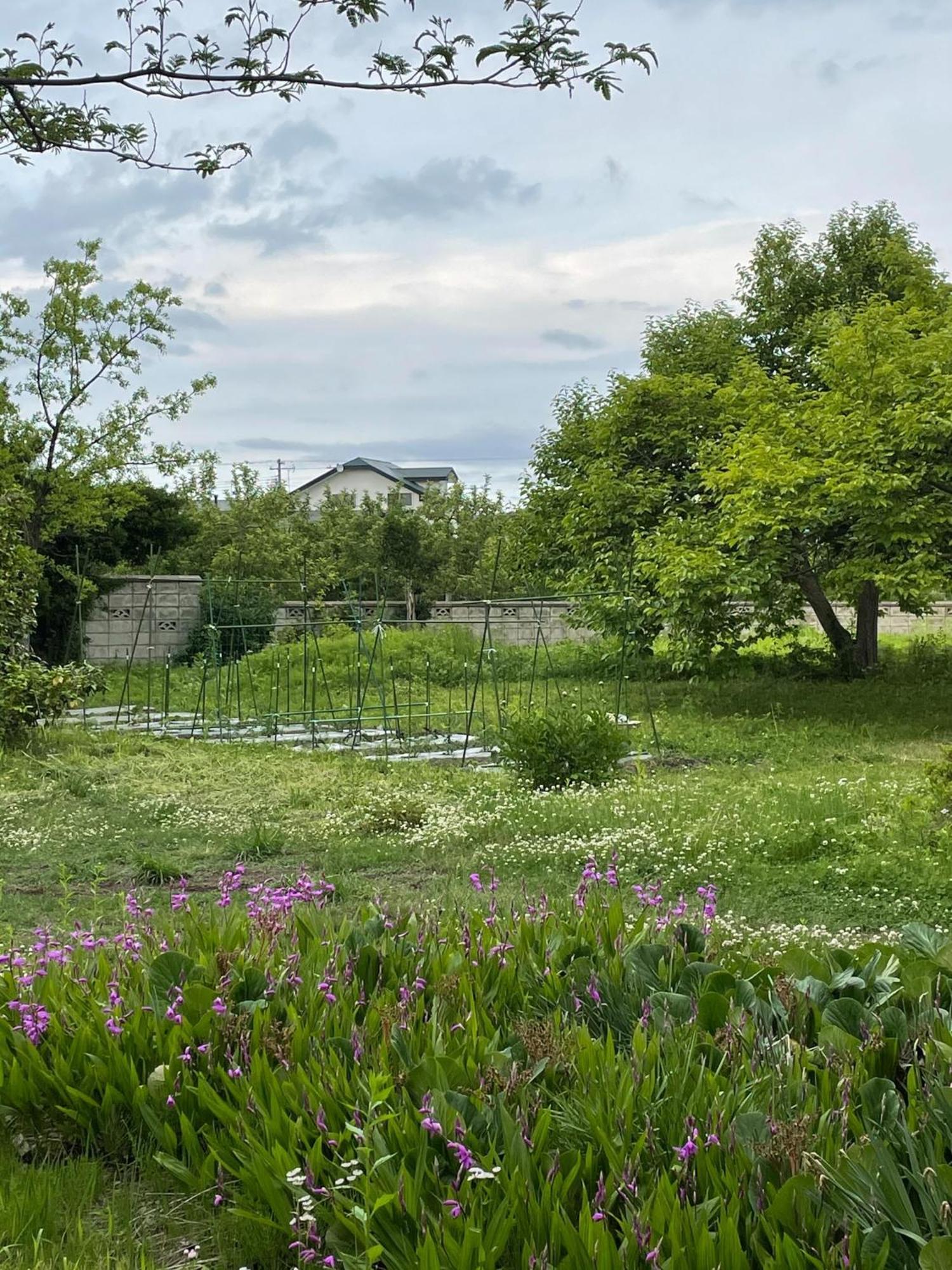 Kuroishi - House - Vacation Stay 87006 ภายนอก รูปภาพ